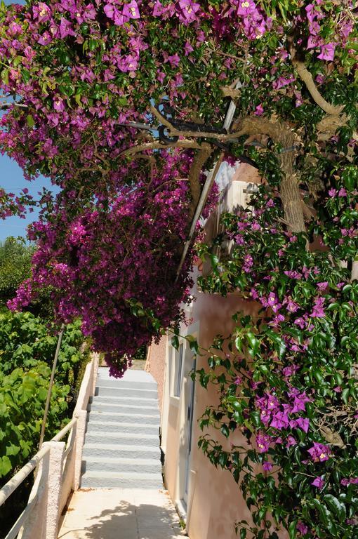 Apostolos & Eleni Family Apartments ペラマ エクステリア 写真