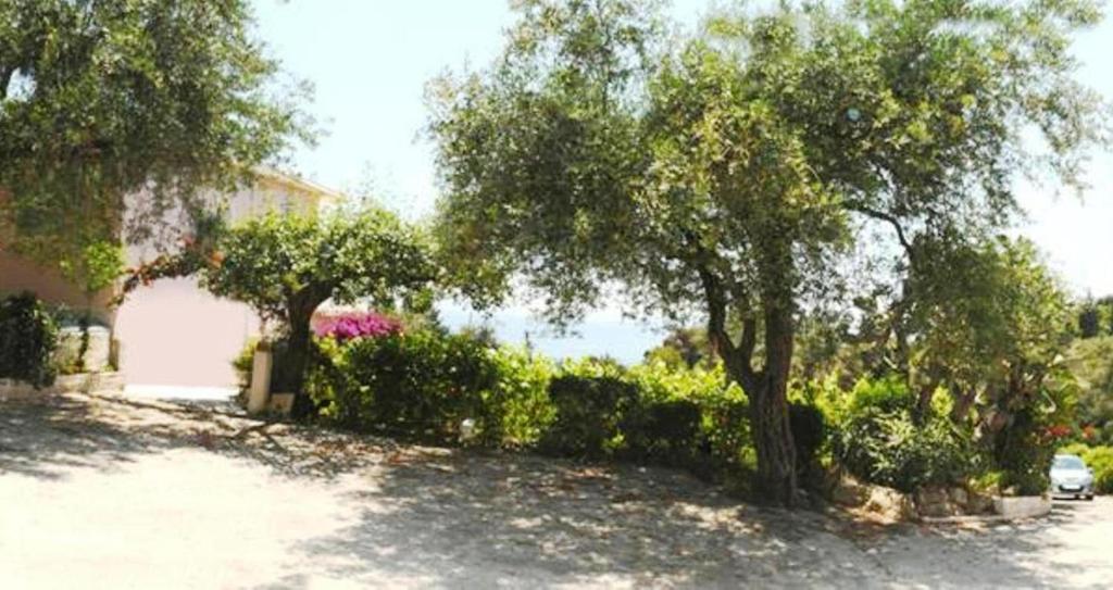Apostolos & Eleni Family Apartments ペラマ エクステリア 写真