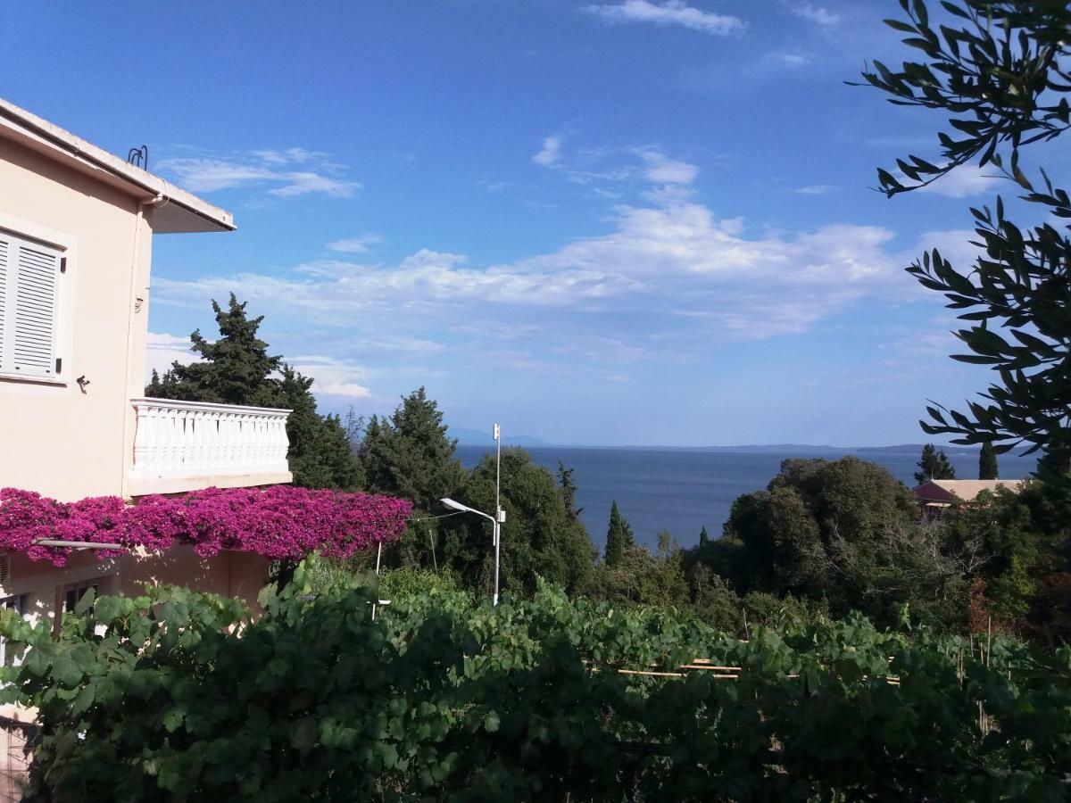 Apostolos & Eleni Family Apartments ペラマ エクステリア 写真